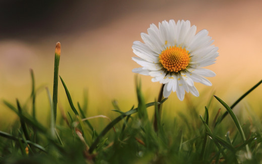 952363 (a): :2560x1600